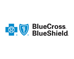 Blue Cross Blue Shield of Michigan and Blue Care Network are nonprofit corporations and independent licensees of the Blue Cross and Blue Shield Association. We provide health insurance in Michigan